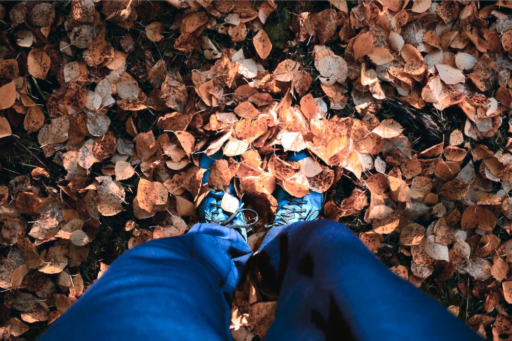 Christmas Gift Guide A Christmas Gift Guide, BF Togger Offers & a stroll along a canal