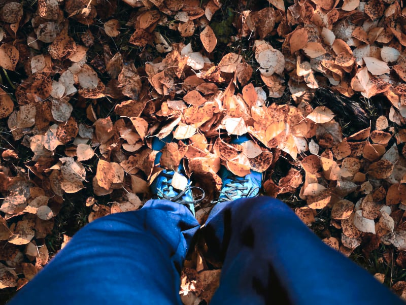 Christmas Gift Guide, BF Togger Offers & a stroll along a canal