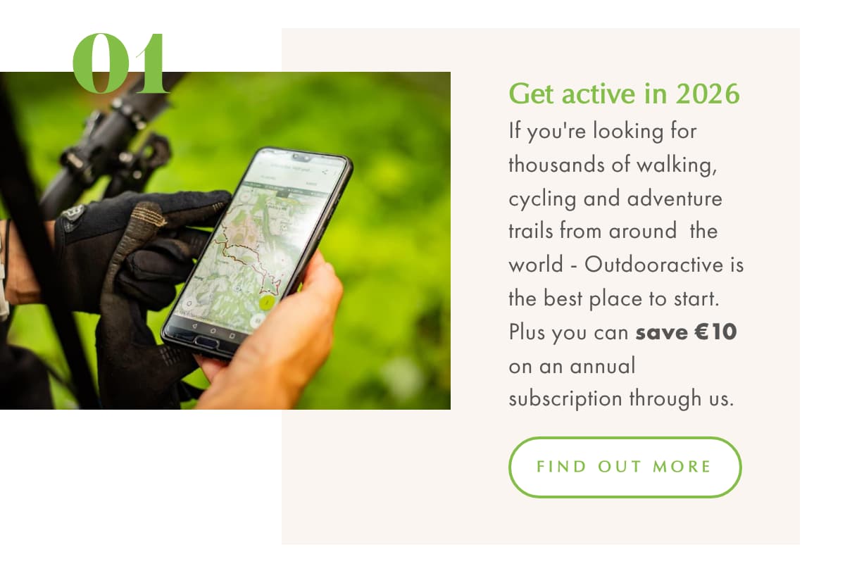 Christmas lights and night time strolls