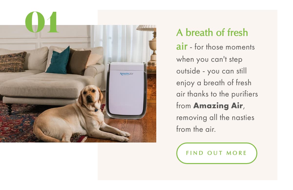 New Year Resolutions and a walk by the sea