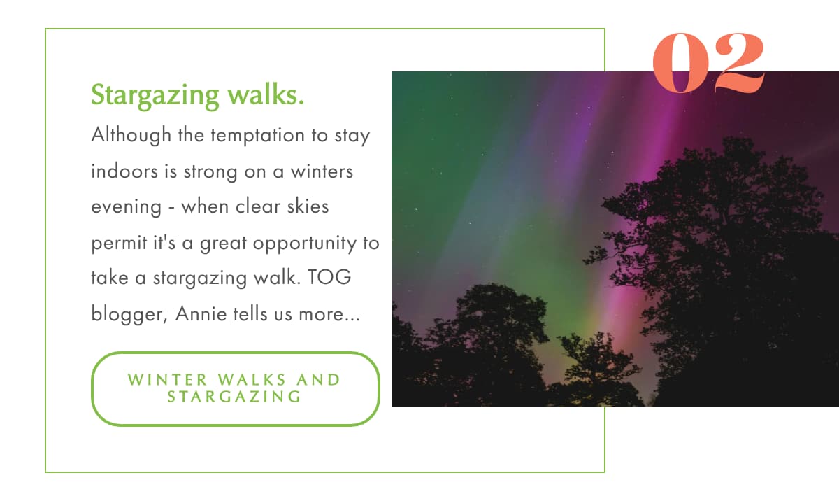 New Year Resolutions and a walk by the sea