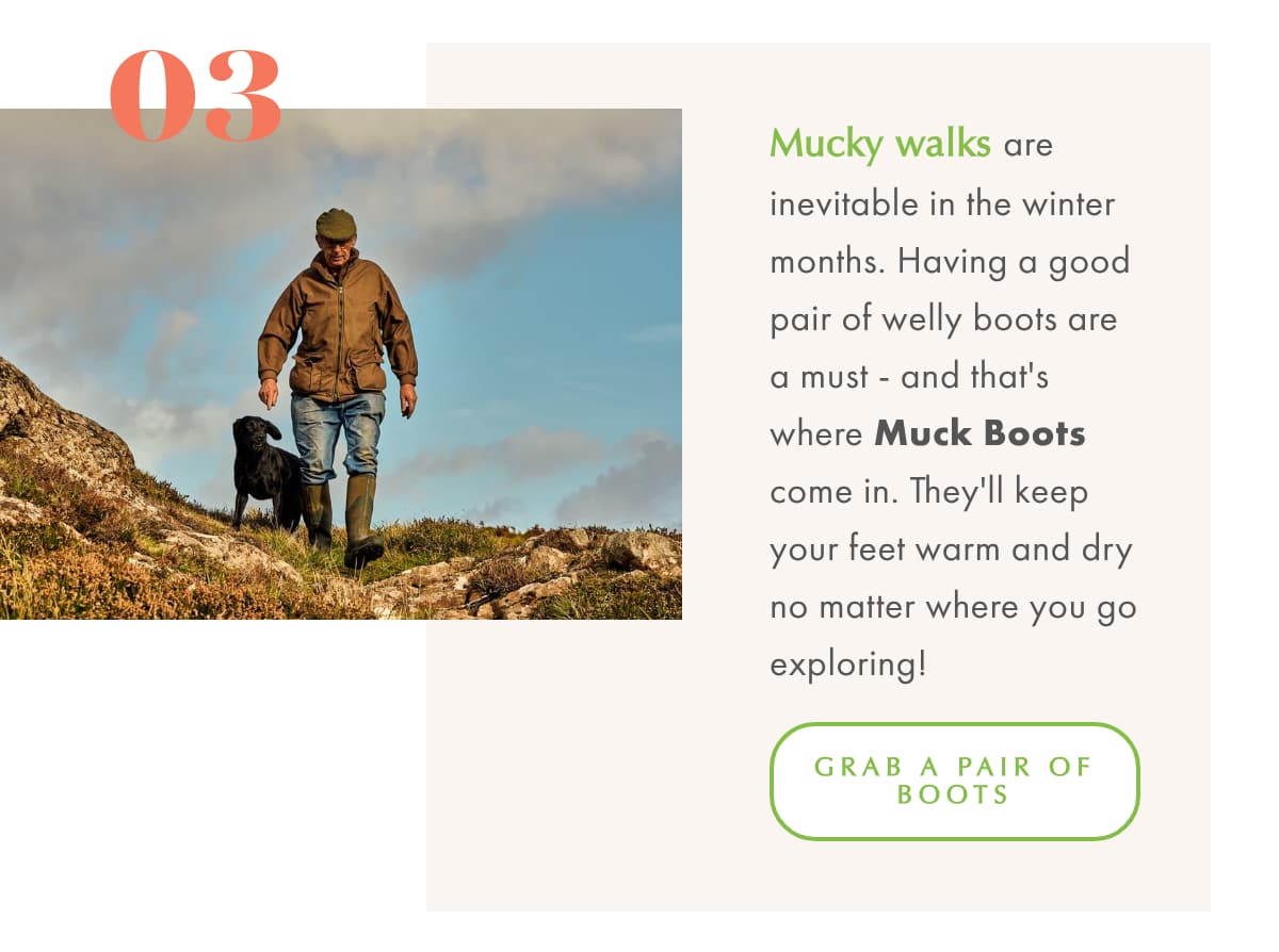 New Year Resolutions and a walk by the sea