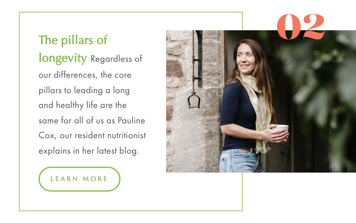 The Pillars of Longevity