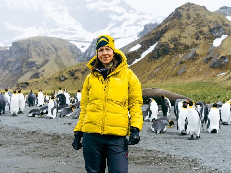 Wonders of the Frozen South