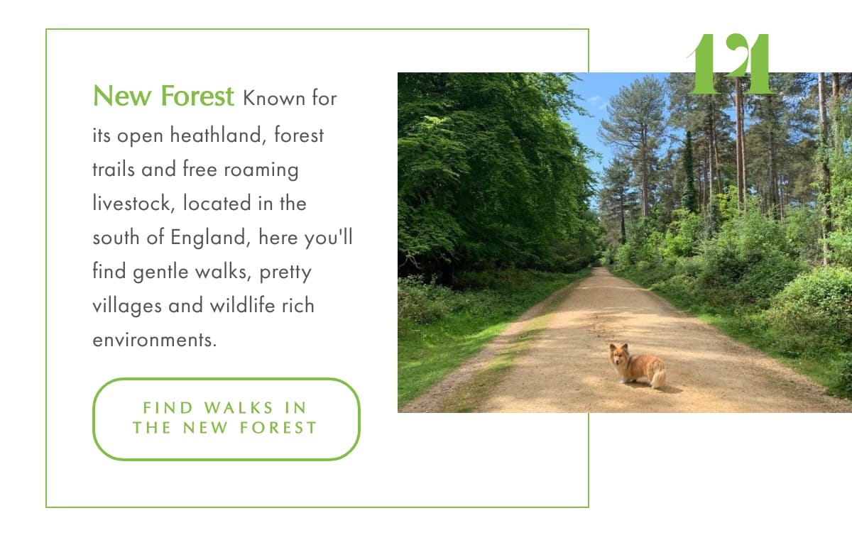 National Parks 14 New Forest