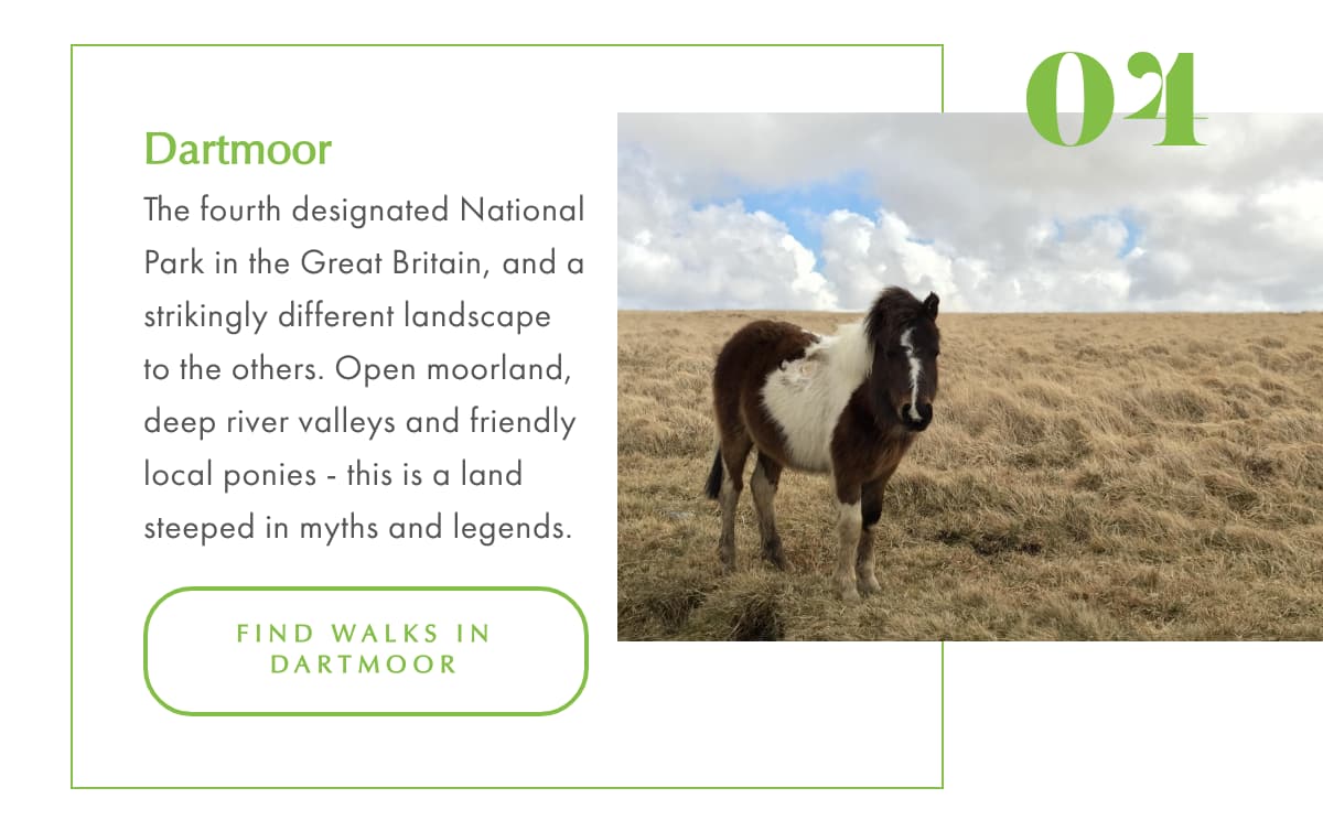 National Parks 4 Dartmoor