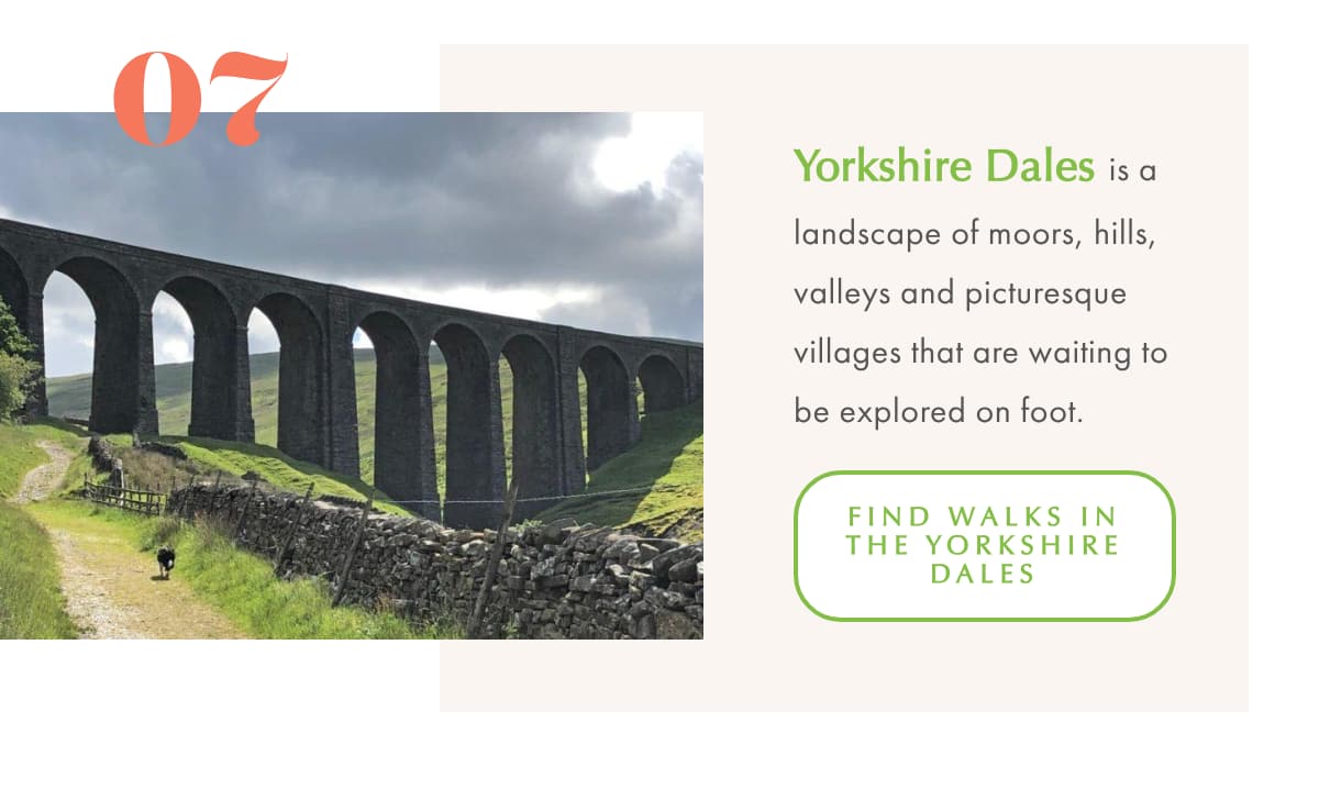National Parks 7 Yorkshire Dales