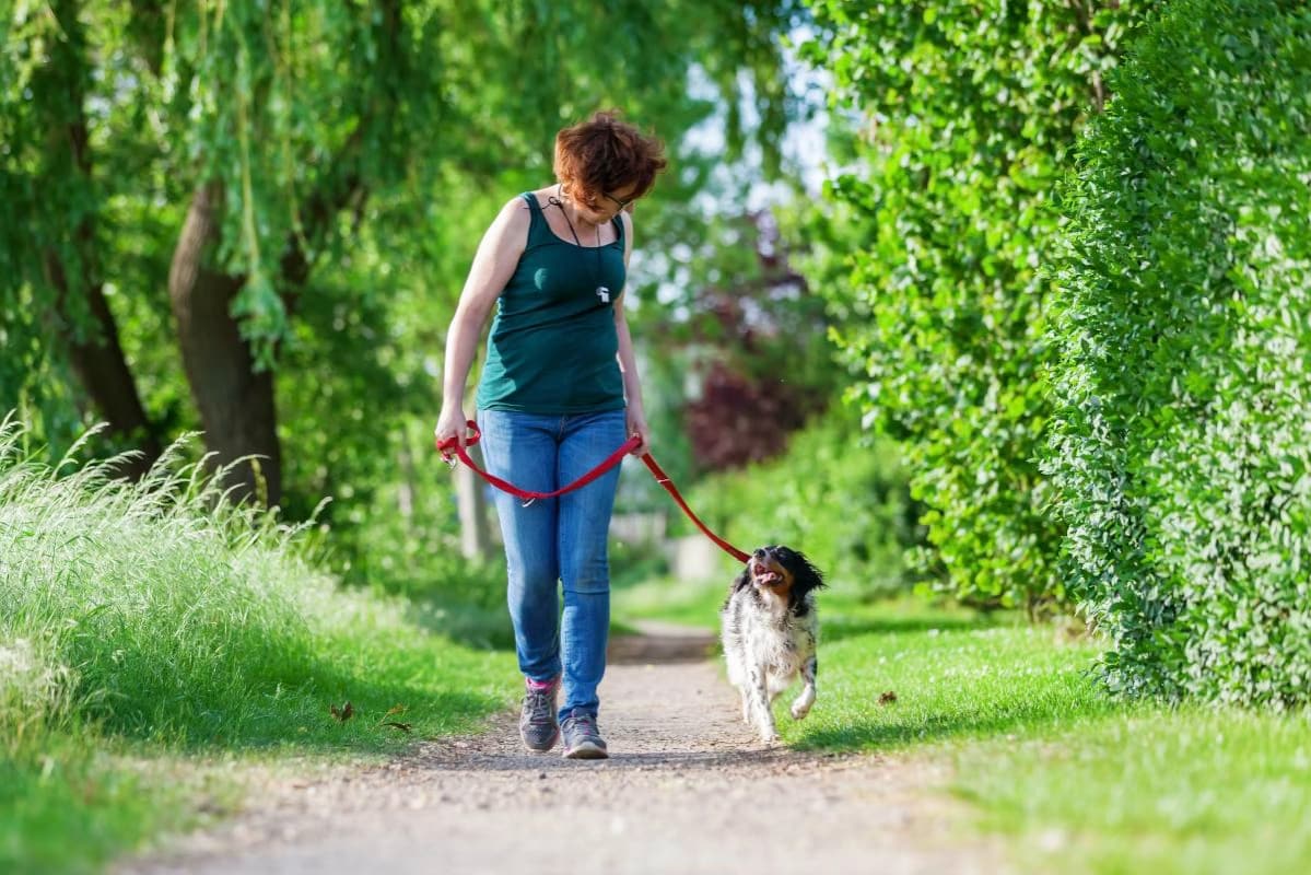 Off-Lead and At Ease