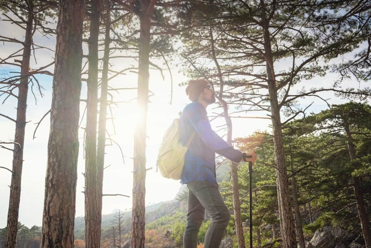 Small Steps 2 Small Steps to Thrive and Find a Healthier You