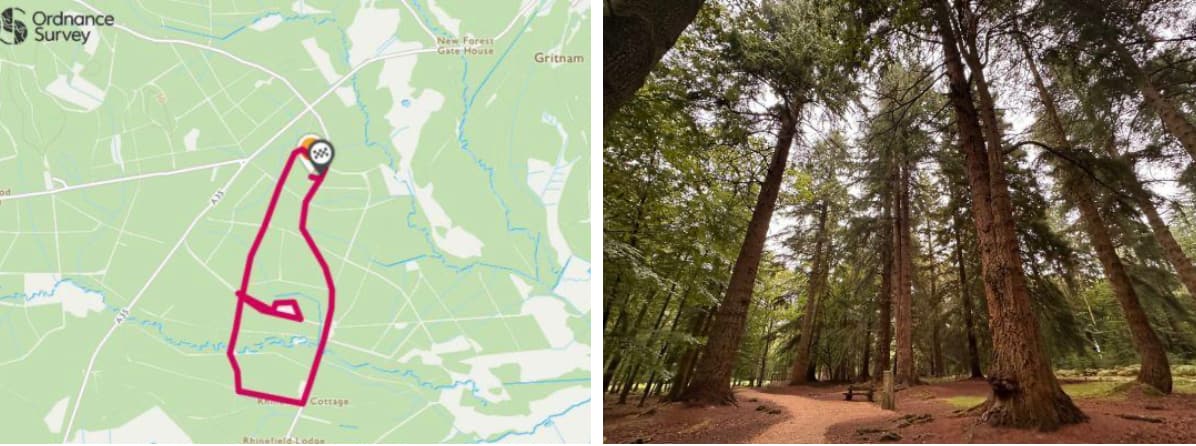 Woodland walks B A walk with giants