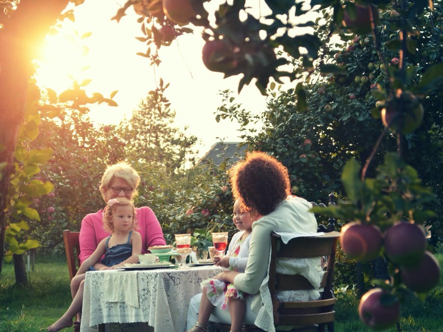 A holiday at home