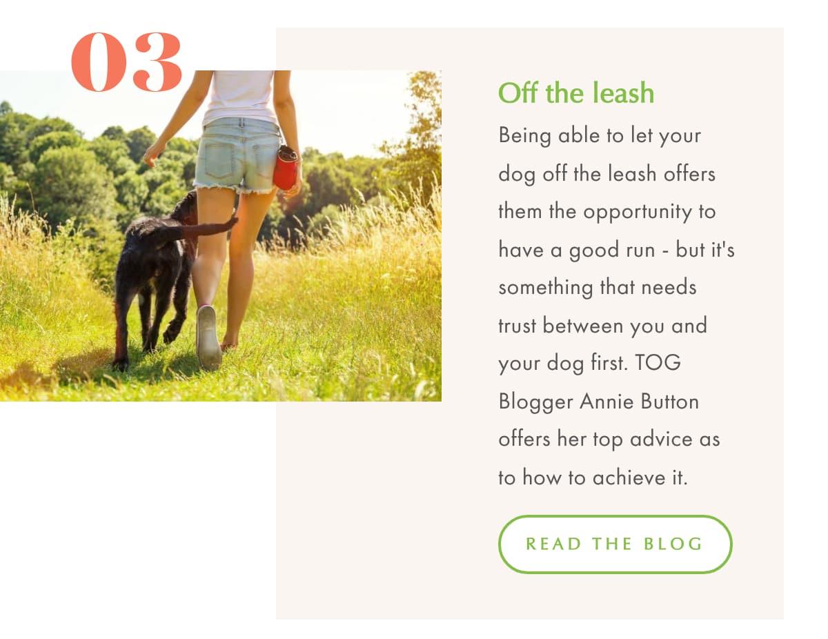 Walking with a dog