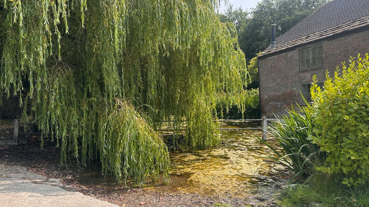 Cerne Abbas Stroll