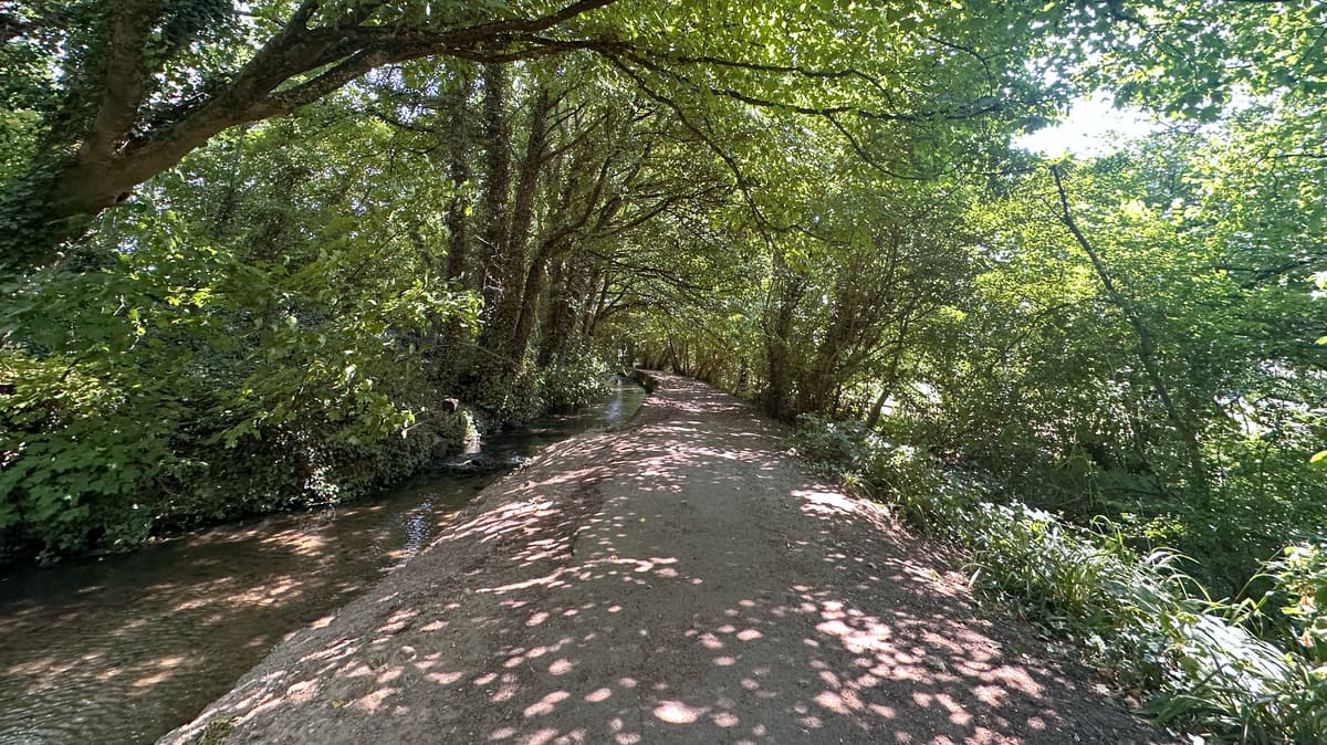 Cerne Abbas Stroll