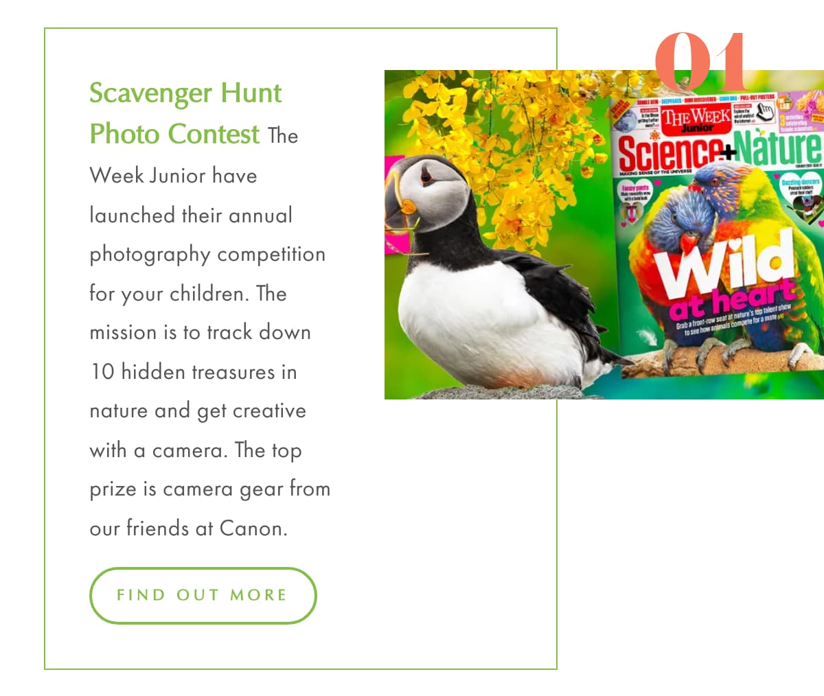 Big Walking Sale 1 Scavenger Hunt Photo Contest