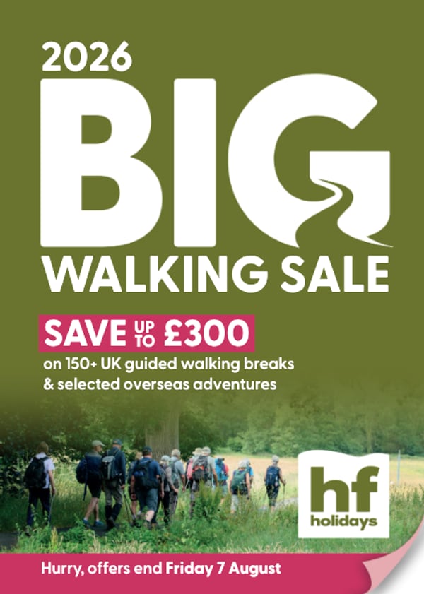 Big Walking Sale C Big Walking Sale