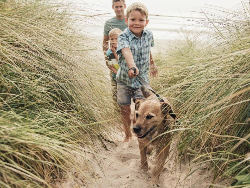 Planning a weekend where walkers get their routes, families stay comfortable, and dogs