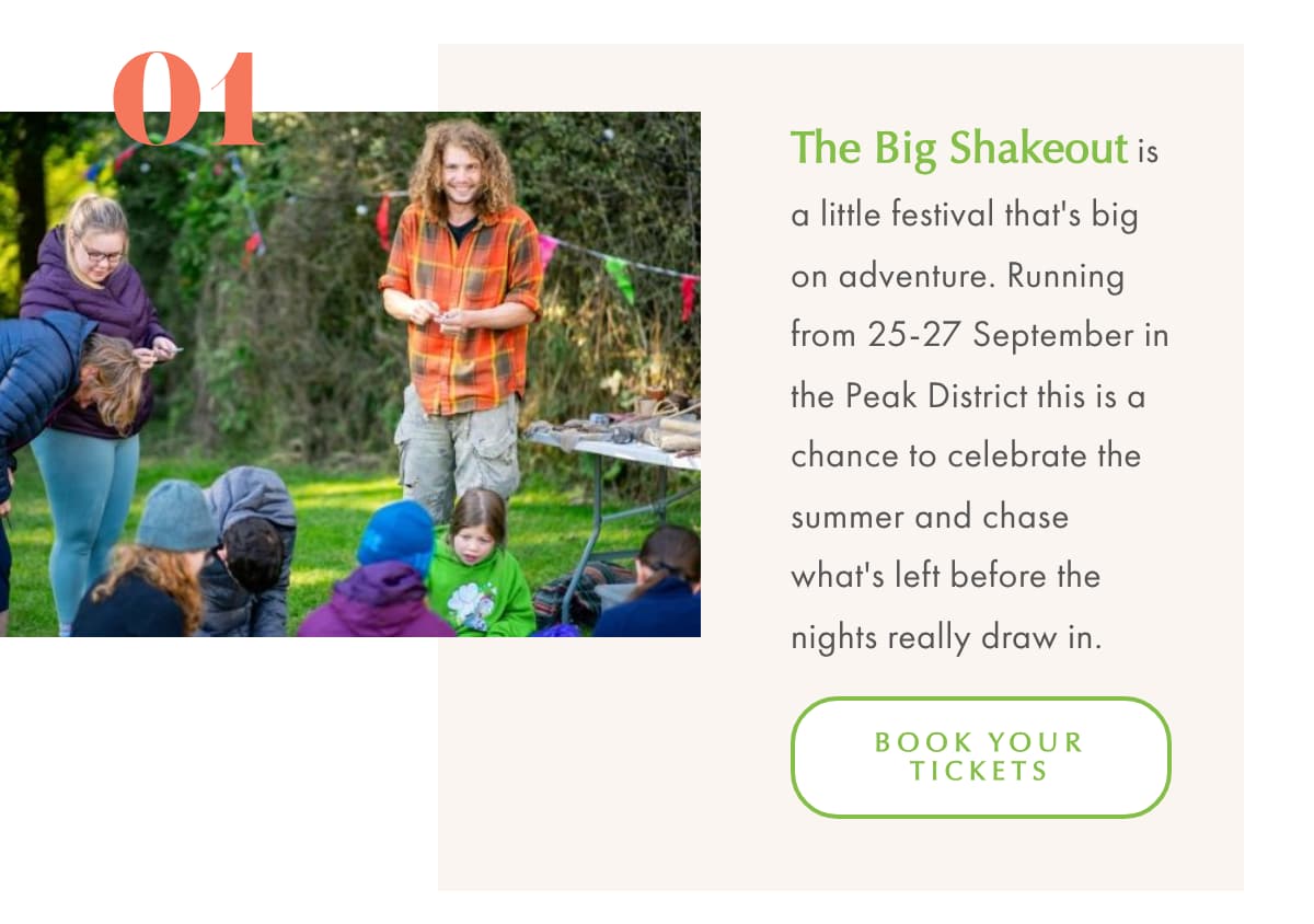 The Big Shakeout The Big Shakeout