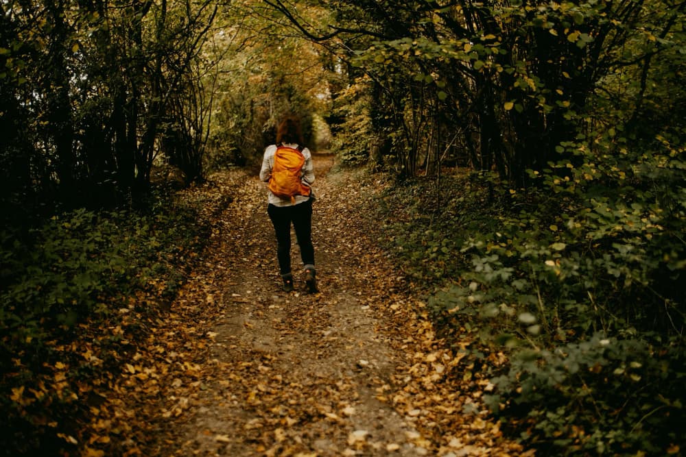 Autumn approaches