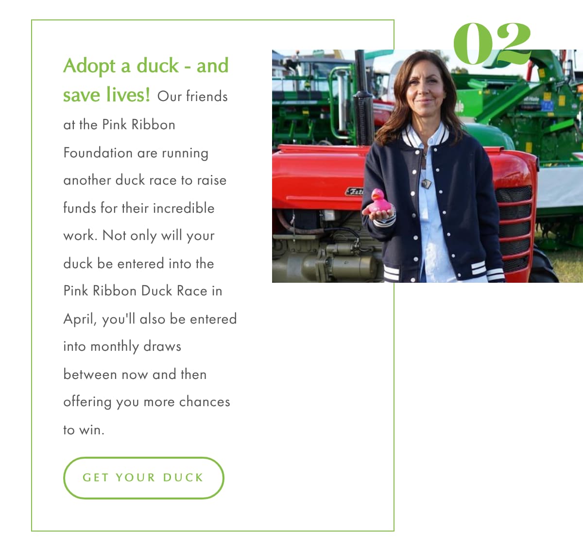 Adopt a Duck