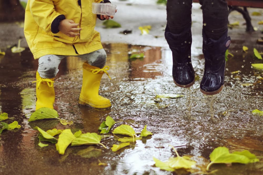 Rainy Days