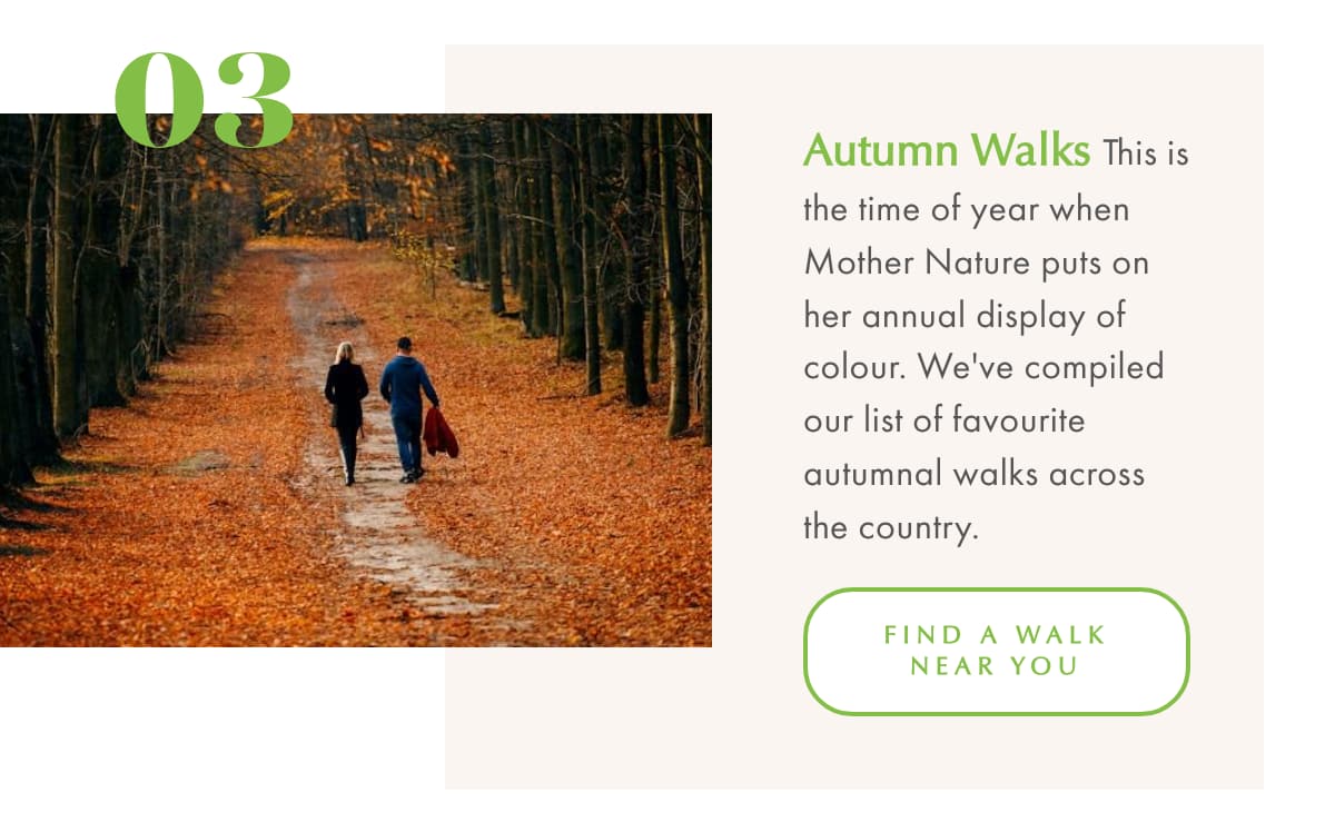 Autumn Walks